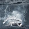 Ange blanc