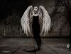 Ange blanc