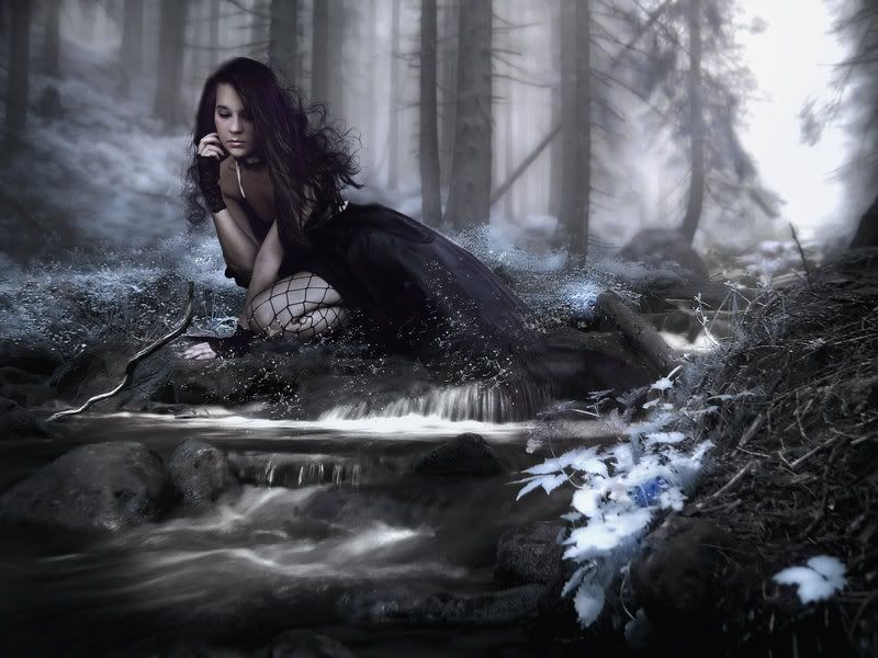 Image du Blog darkdreams.centerblog.net