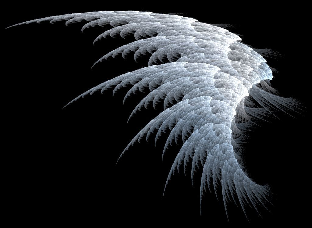 angels wings